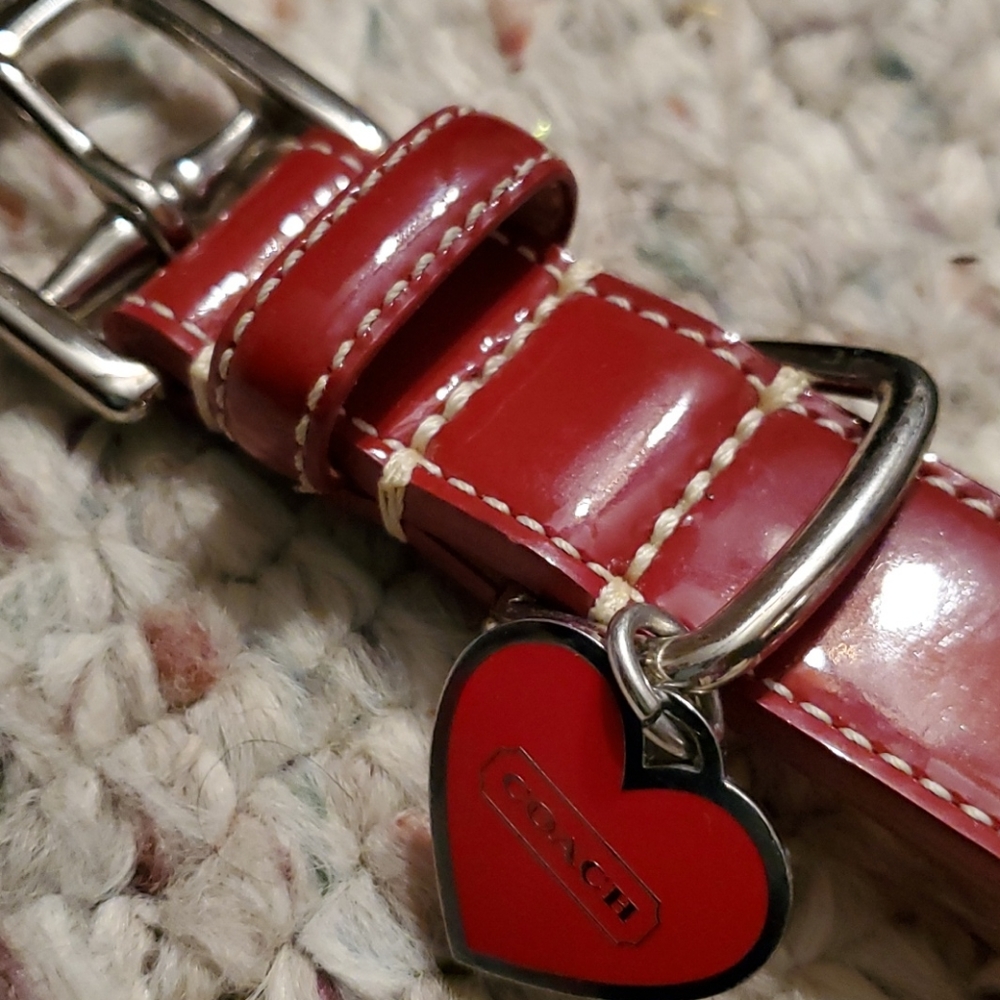 Coach Dog Collar